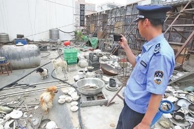 鄭州一飯店樓頂養4條流浪狗 被指宰殺小狗做菜