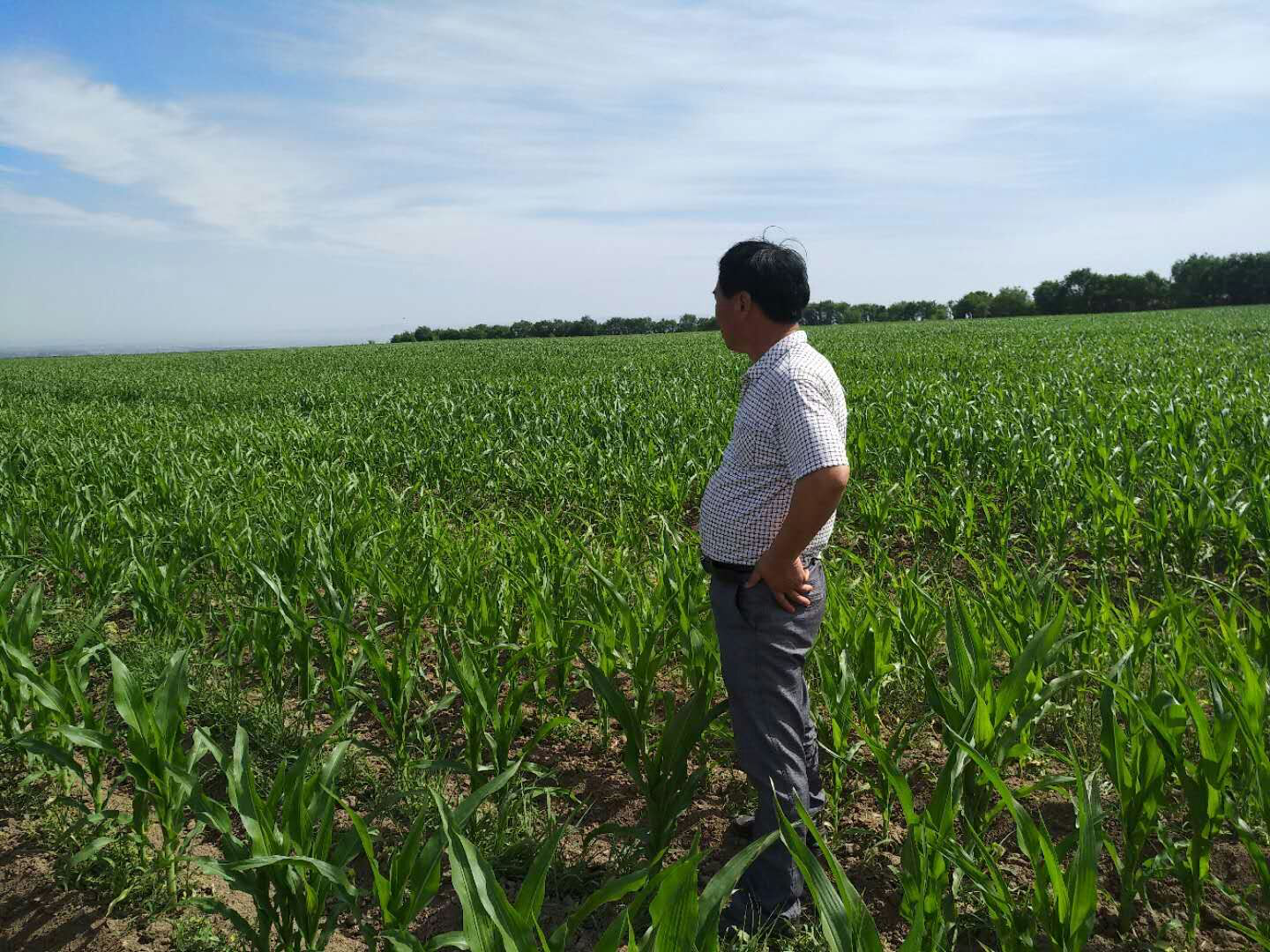 陕西杨凌国际农业合作惠及“一带一路”沿线国家和地区