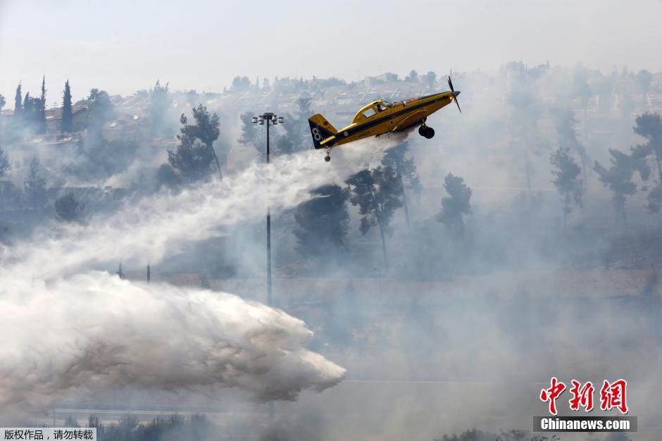 耶路撒冷发生山火 灭火飞机喷水浓烟滚滚