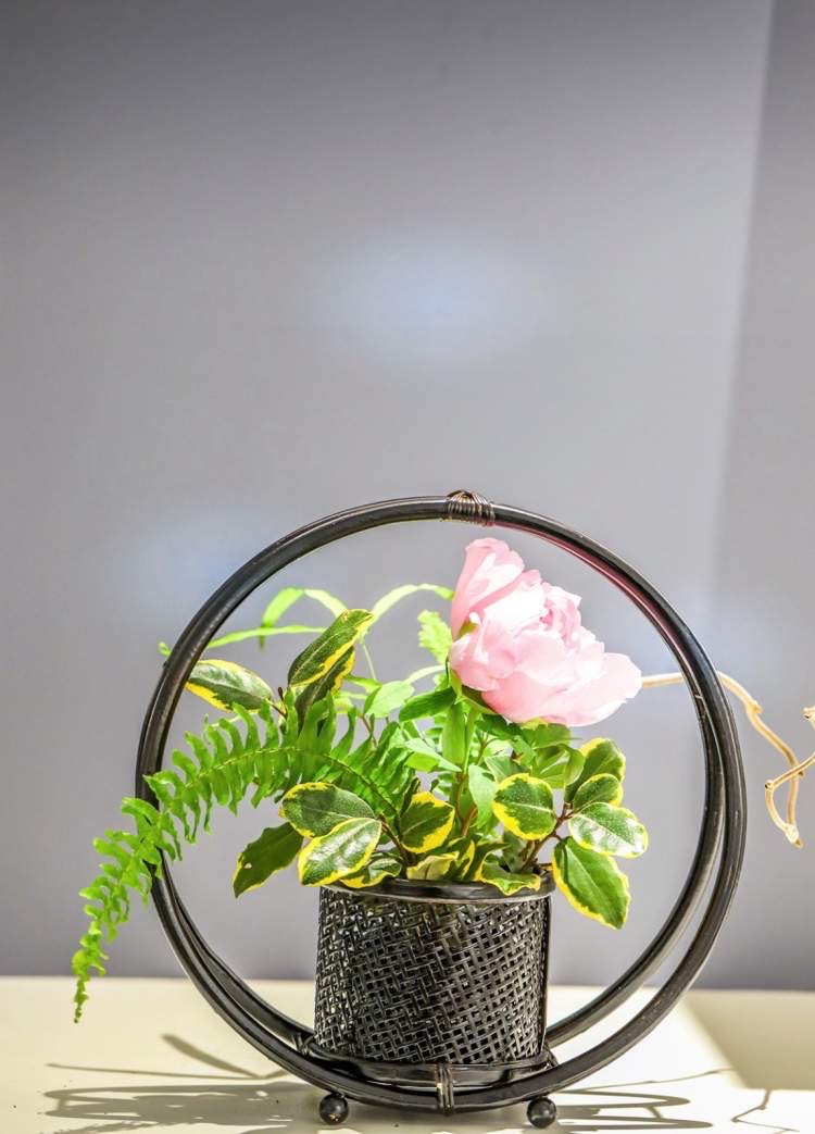 上海辰山植物园新春花卉展示即将开幕