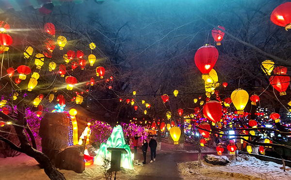 自贡彩灯新春送福系列|乌鲁木齐市民热捧自贡彩灯_fororder_5灯展现场（供图-自贡市文广旅局）