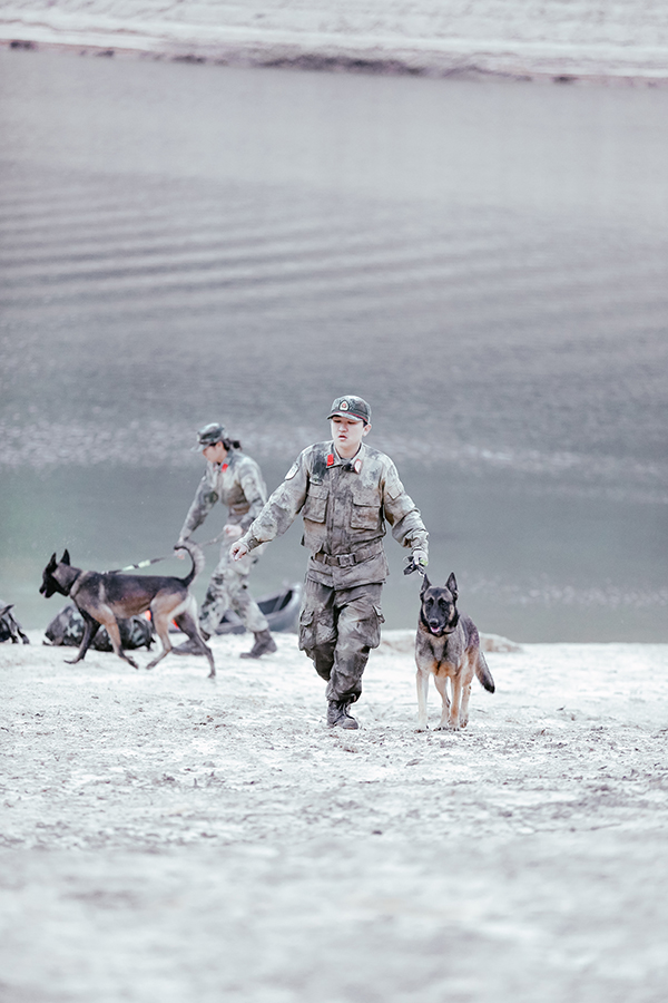 《奇兵神犬》张大大野外训练指挥搭桥徒手上陡坡