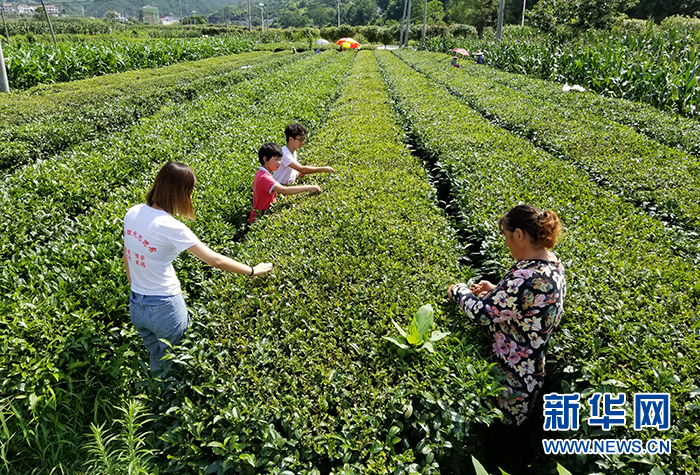 “微光”照进大别山乡村小学