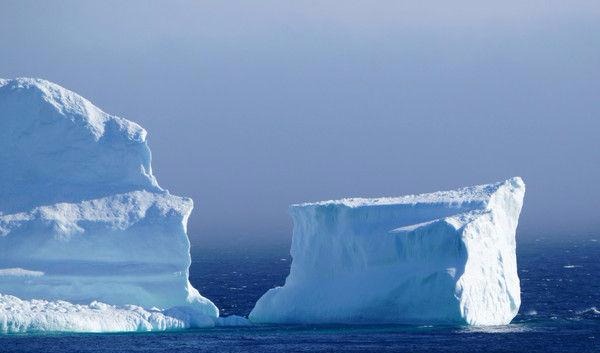 南极拥有丰富的淡水资源、生物资源、矿物资源等_fororder_3930180-1494122159507058376