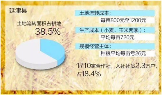 揭秘中国农村：80后不会种地 90后不提种地（图）