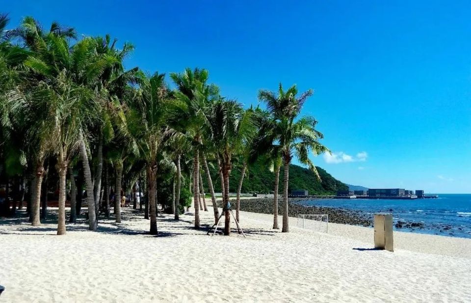 额度高了、种类多了、限制少了……走，去海南“买买买”！