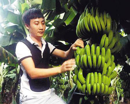 姜東海：80後“香蕉大王”