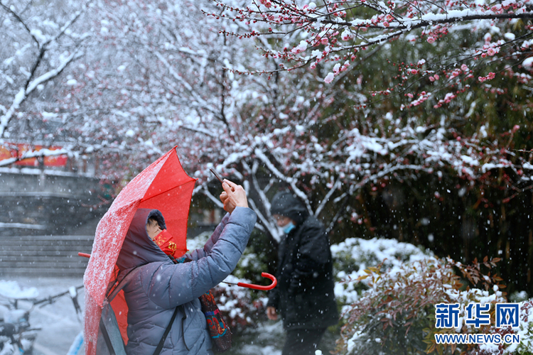 瑞雪兆金陵 虎年“开工雪”来啦