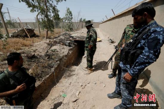 伊拉克军队开始进入“伊斯兰国”重镇费卢杰