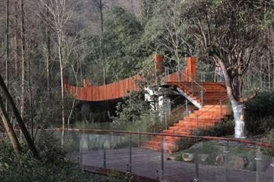 （中首）滚滚喜提新房！ 熊猫谷“回归产房”开放 首批“体验官”入住