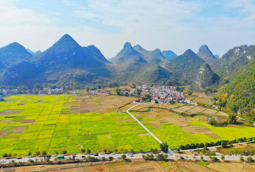 广西来宾市忻城县：南国春来早 花海引客来