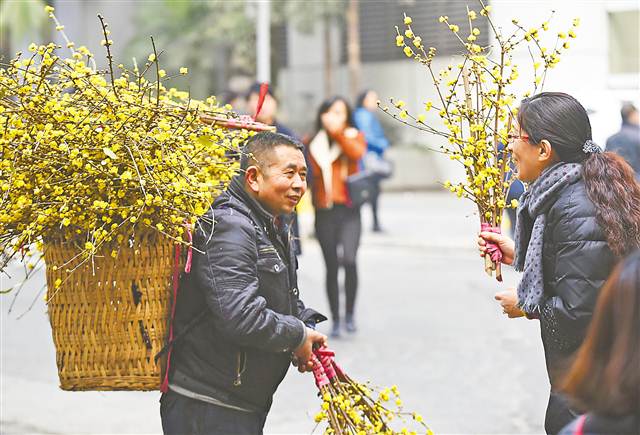 【行游巴渝　图文】街头又闻腊梅香