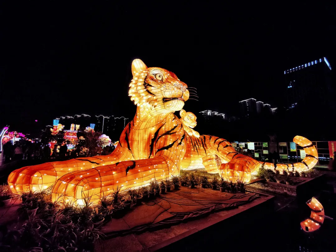 Online and Offline Boost in the Year of the Tiger, Splendid “Cultural and Tourism Feast” Adds to the New Year's Atmosphere_fororder_图片2