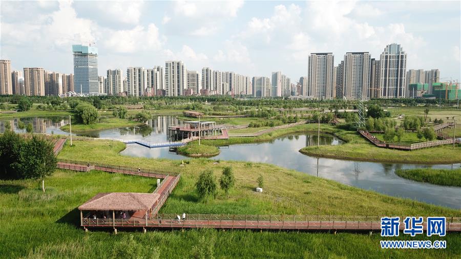 哈尔滨：湿地与城市和谐共生