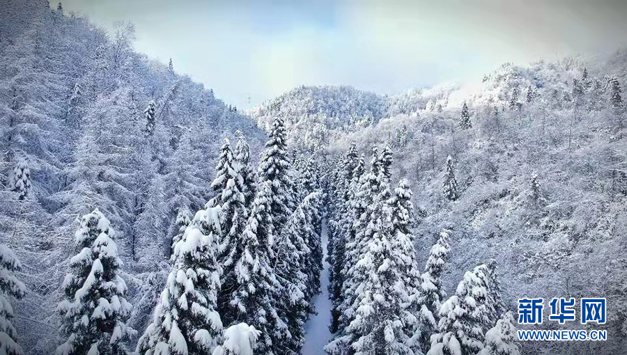 鄂西“雪国” 水墨咸丰