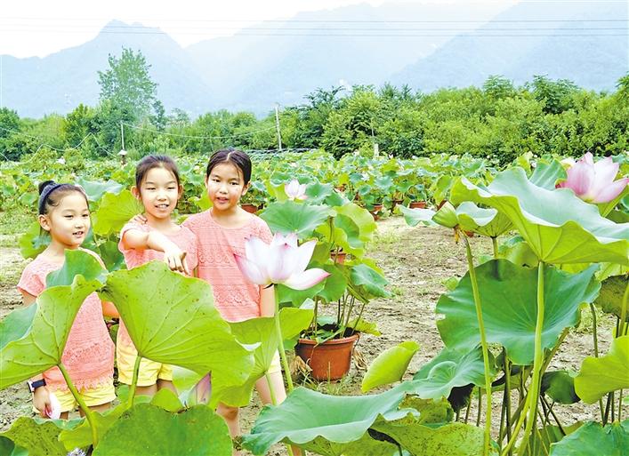 图片默认标题_fororder_微信图片_20190731114309