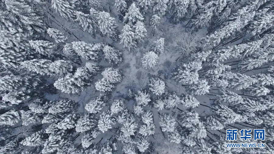 鄂西“雪国” 水墨咸丰