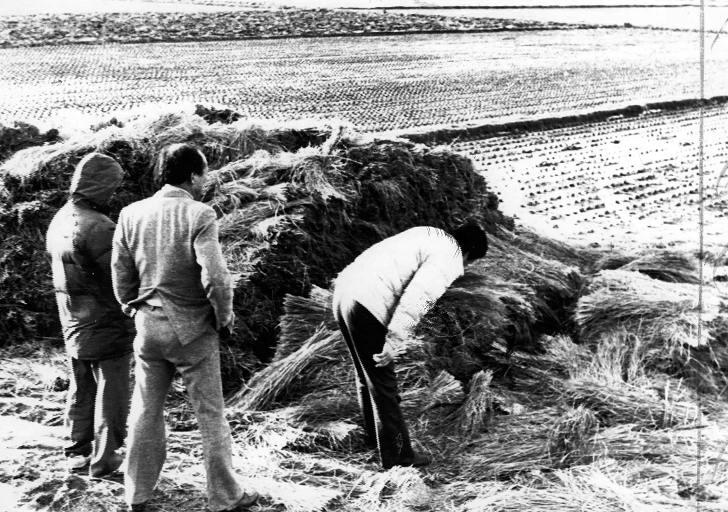 时隔三十余年 韩国连环杀人案告破 追诉期已过