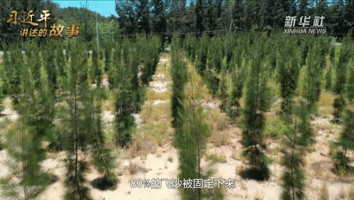 曾经满目疮痍的荒凉海岛，如今美得让人窒息！