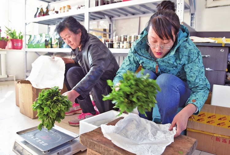 日華光暖向陽枝——白山市促消費穩增長紀實