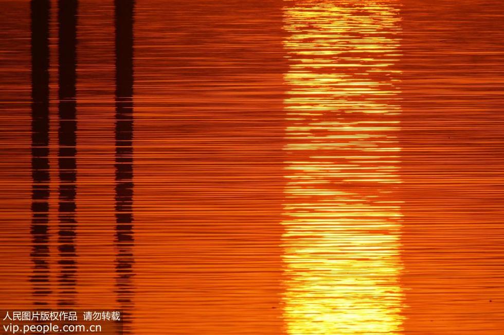青岛胶州湾跨海大桥“长虹卧波”美如画