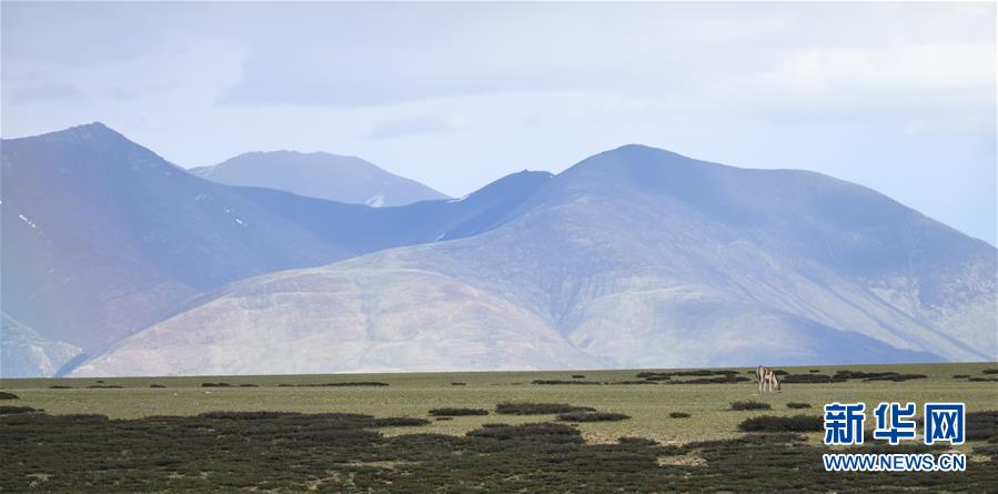 西藏阿里景如画