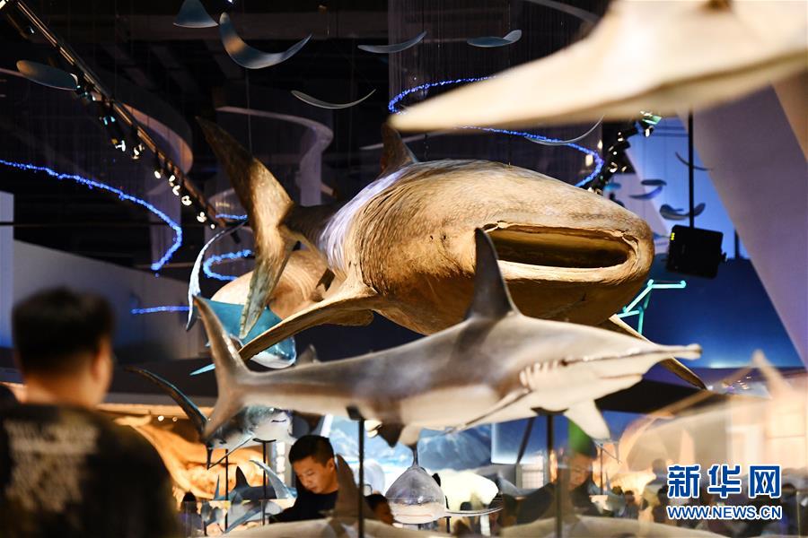 國家海洋博物館暑期迎客忙