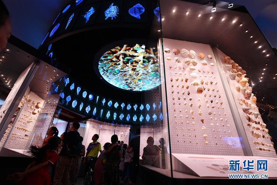 国家海洋博物馆暑期迎客忙