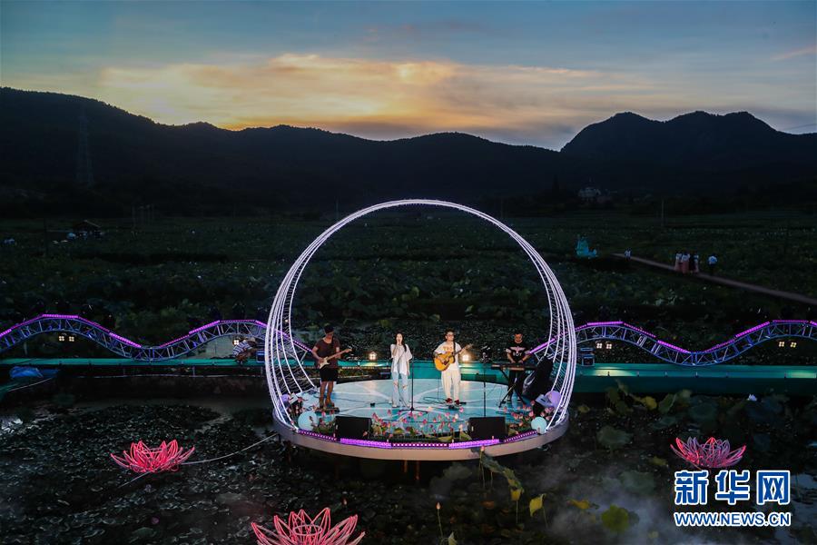 浙江建德：夏日乡村举办“荷塘乐色”音乐会