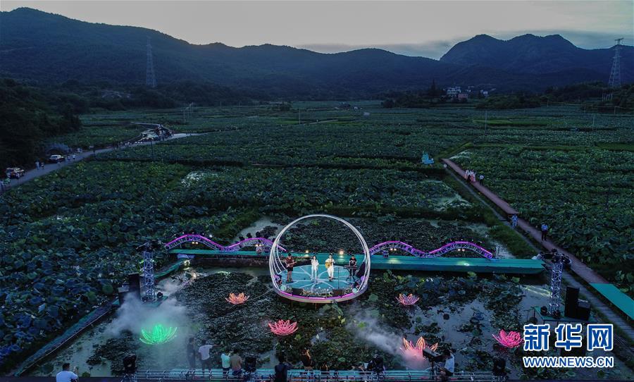 浙江建德：夏日乡村举办“荷塘乐色”音乐会