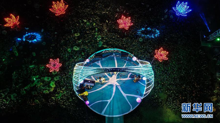 浙江建德：夏日乡村举办“荷塘乐色”音乐会