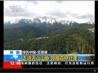【绿色中国·览夏篇】新疆：走进天山山脉 领略森林壮美
