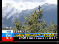 【綠色中國·覽夏篇】新疆 江布拉克：雪嶺雲杉守護“聖水之源”