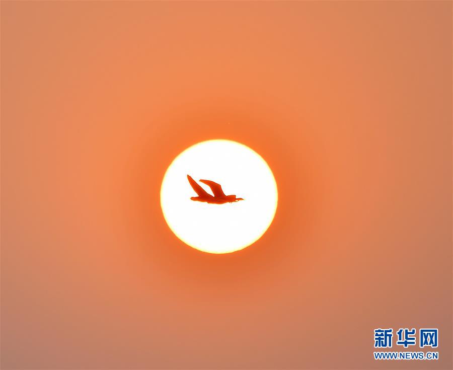 江西南昌：夕阳渡飞鸟