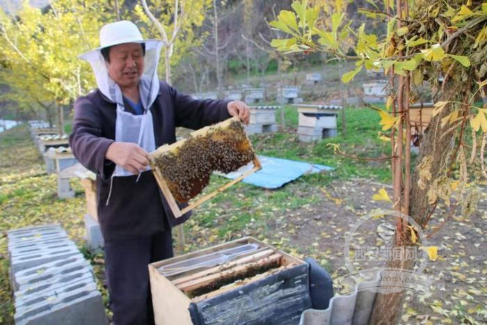 留坝县江口镇入选全国农业产业强镇建设名单