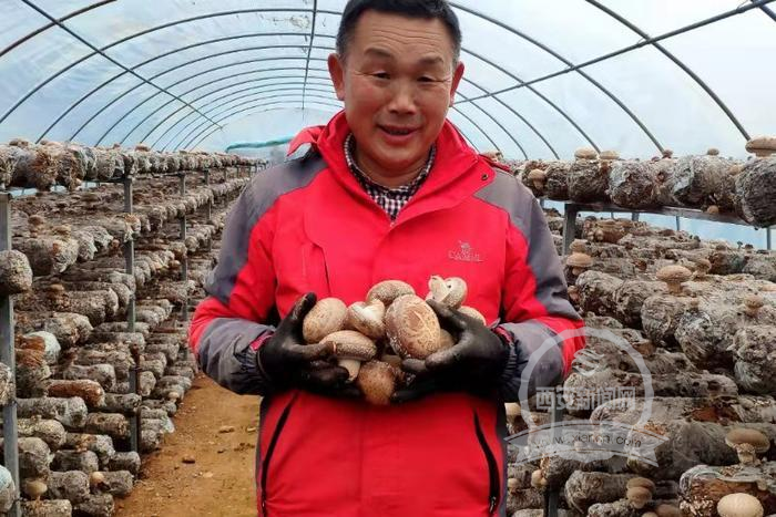 留坝县江口镇入选全国农业产业强镇建设名单