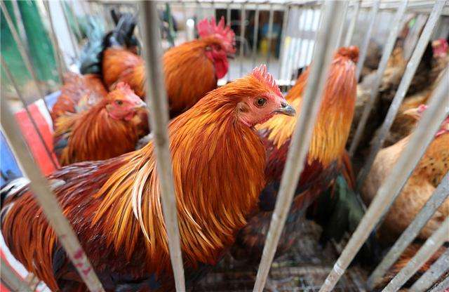 图片默认标题_fororder_742104236