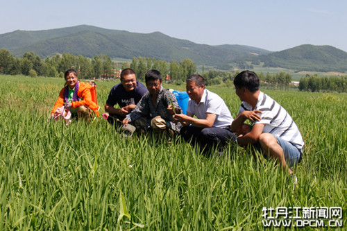 下乡送科技助力水稻增收