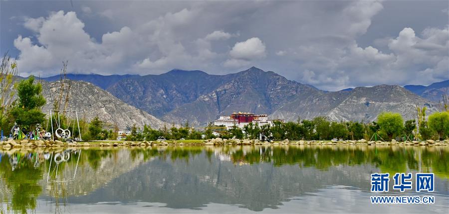 夏日拉萨绿意盎然