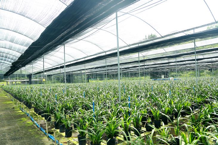 图片默认标题_fororder_微信图片_20200705145706