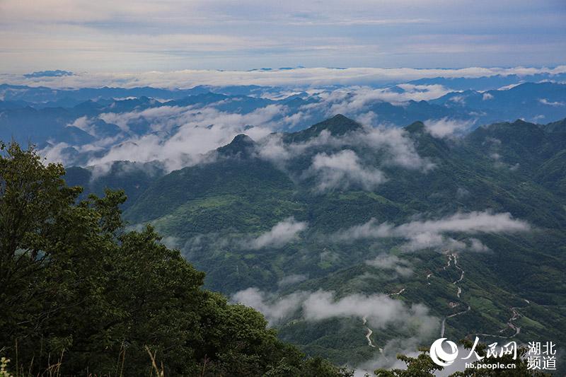 荆山楚源背景图片