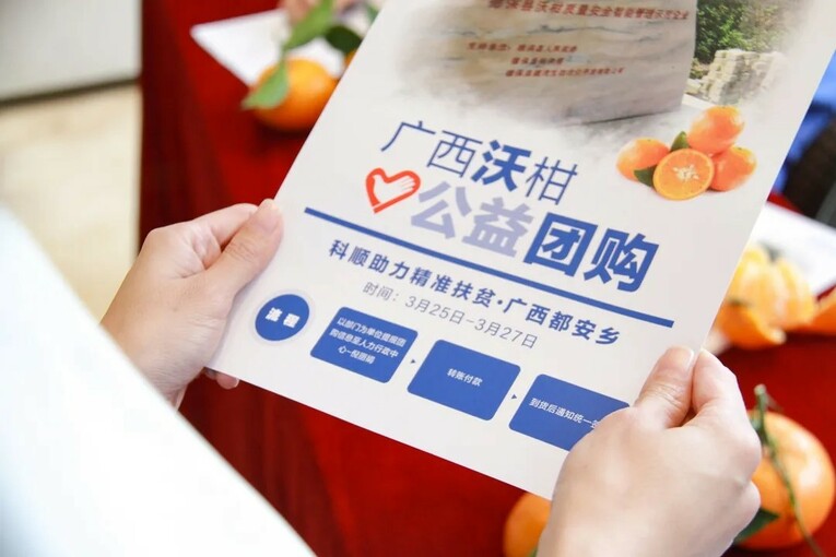 同心者同行 科順股份與廣西百色長期與共