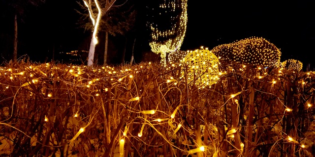 沉浸式体验青城夜景，网友直呼：“一直走到白头！”_fororder_微信图片_20220215150150