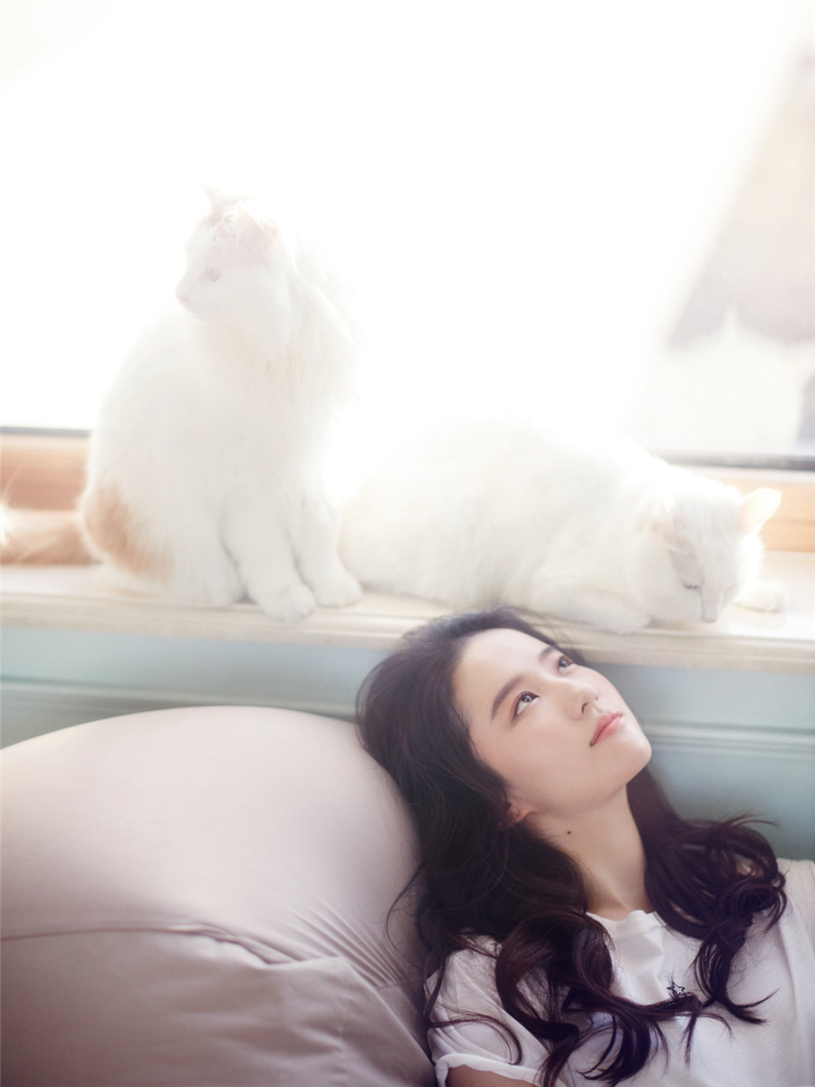 刘亦菲宠物主题写真大片曝光 暖阳下慵懒撸猫