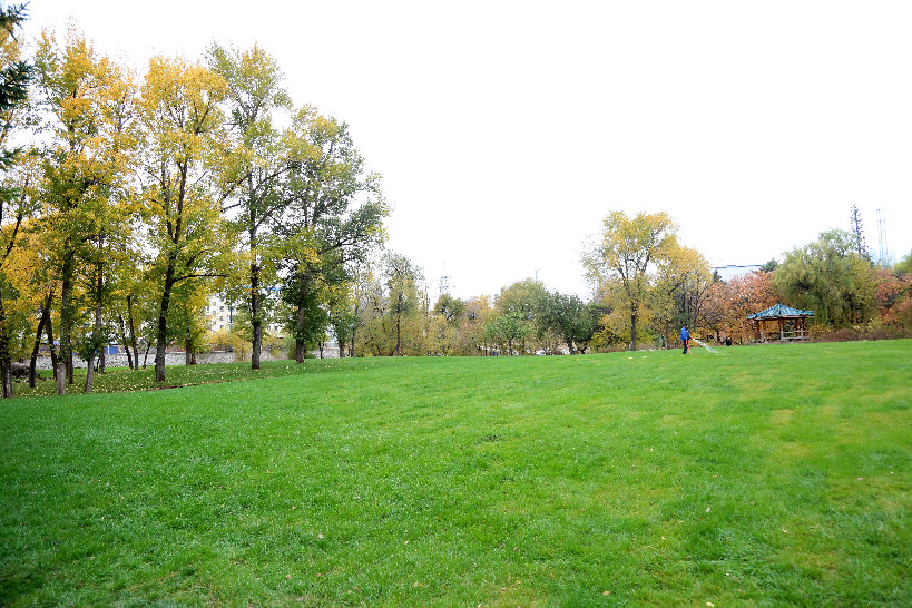 【關東黑土(延吉)】延吉啟動多個綠化項目 打造宜居城市園林環境 【關東黑土(延吉)】延吉啟動多個綠化項目 打造宜居城市園林環境
