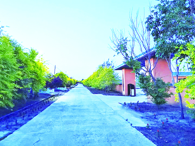 為了鄉村“持久之美”——榆樹市環境整治長效化記事