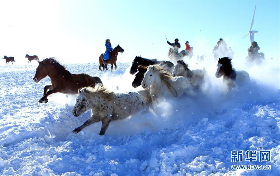 策马扬鞭踏雪飞