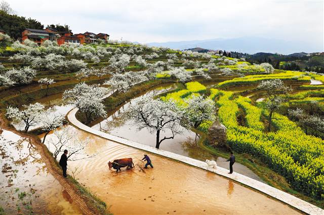 【环保视点专题　绿色康养　图文摘要】重庆梁平推进农旅融合 打造“诗画田园”