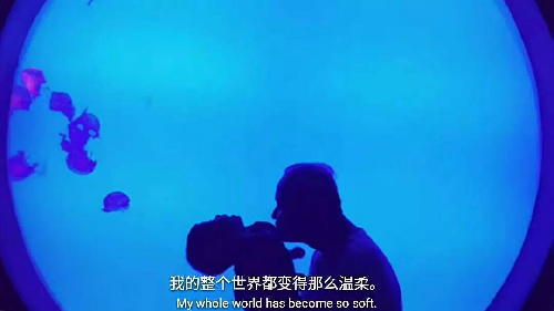 【行游巴渝 标题摘要】无须漂洋过海 在家门口探秘海底世界 【行游巴渝 标题摘要】无须漂洋过海 在家门口探秘海底世界