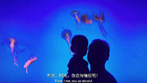 【行游巴渝 标题摘要】无须漂洋过海 在家门口探秘海底世界 【行游巴渝 标题摘要】无须漂洋过海 在家门口探秘海底世界